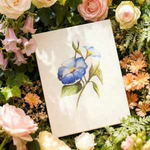 Confesiones a contraluz