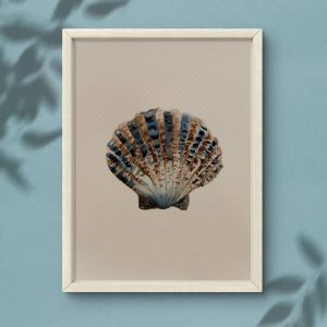 Secretos de la orilla